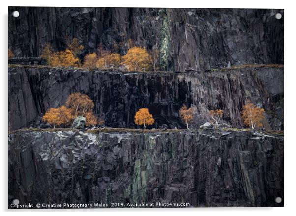 Autumn Tree at Nant Peris Quarry Landscape view, S Acrylic by Creative Photography Wales