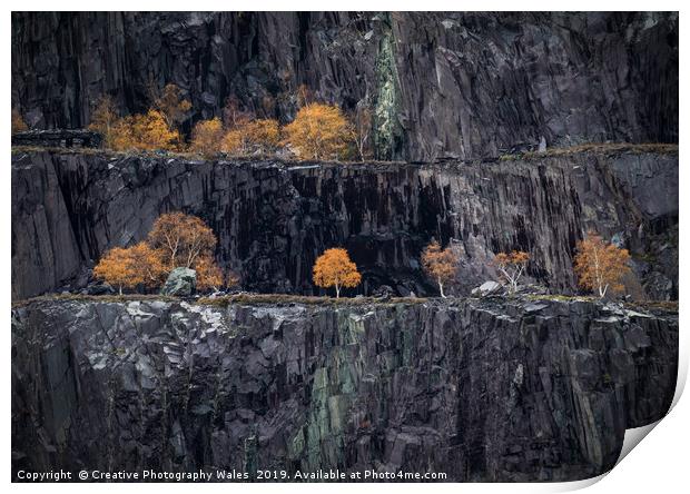 Autumn Tree at Nant Peris Quarry Landscape view, S Print by Creative Photography Wales