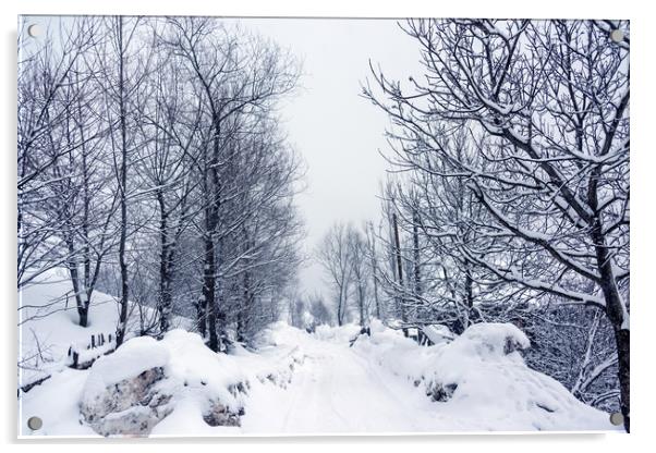 Winter Road Acrylic by Svetlana Sewell