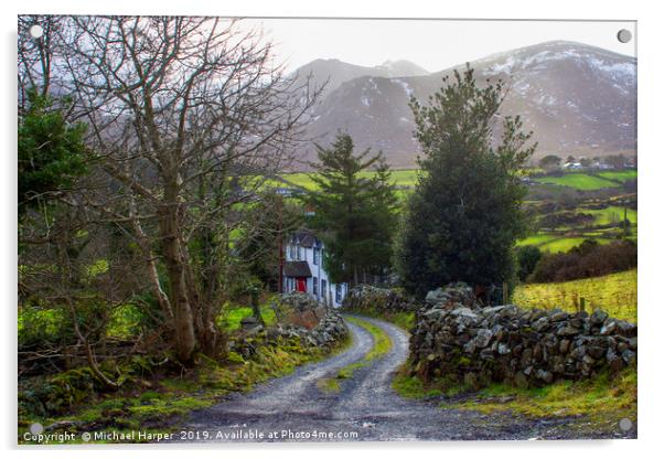 Country House down a lane on the Mourne Mountains Acrylic by Michael Harper