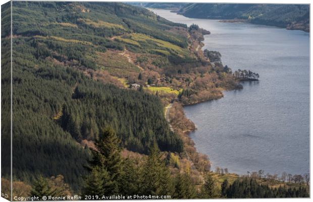 Loch Eck From Above Canvas Print by Ronnie Reffin