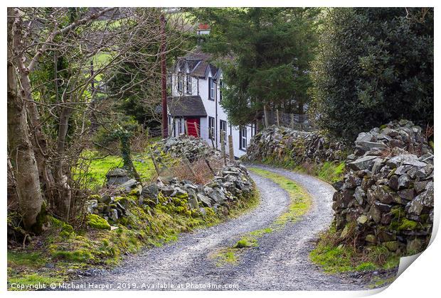 Country House down a lane on the Mourne Mountains Print by Michael Harper