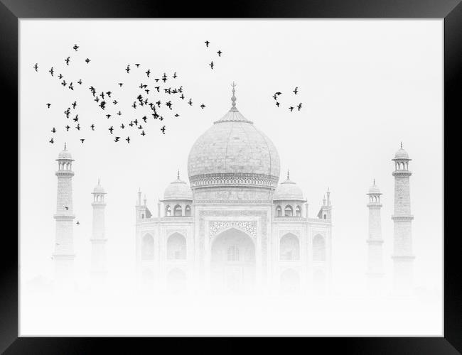 Taj Mahal with a flock of birds Framed Print by Thomas Herzog