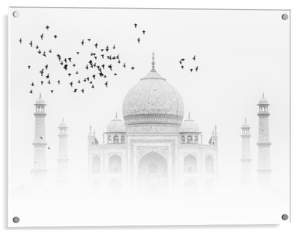 Taj Mahal with a flock of birds Acrylic by Thomas Herzog