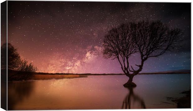 Kenfig Tree by starlight Canvas Print by Leighton Collins