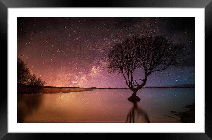 Kenfig Tree by starlight Framed Mounted Print by Leighton Collins