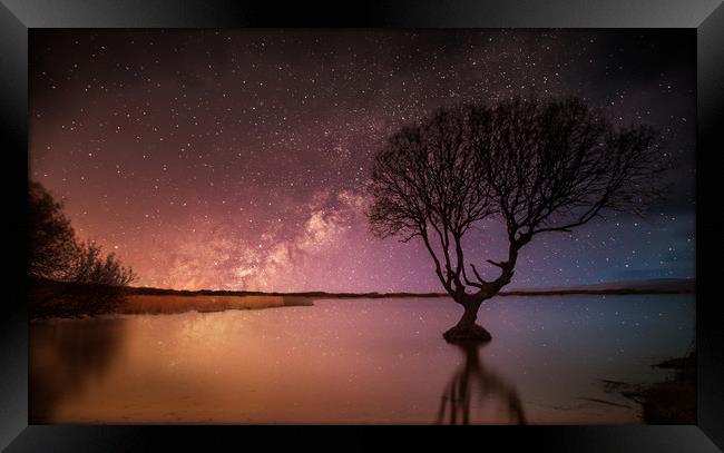 Kenfig Tree by starlight Framed Print by Leighton Collins