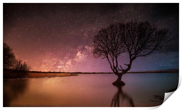 Kenfig Tree by starlight Print by Leighton Collins