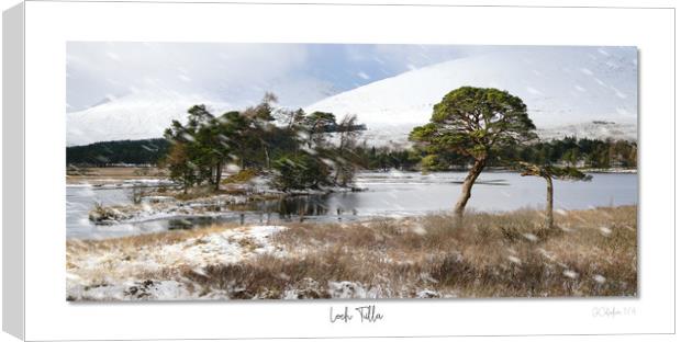 Loch Tulla in winter coat Canvas Print by JC studios LRPS ARPS
