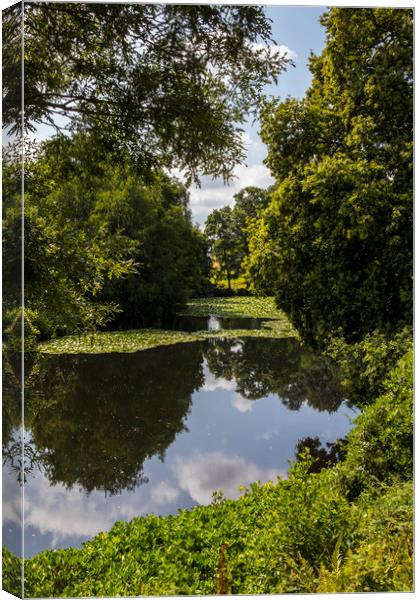 Lily Lake at Canonteign in Devon, UK Canvas Print by Chris Dorney