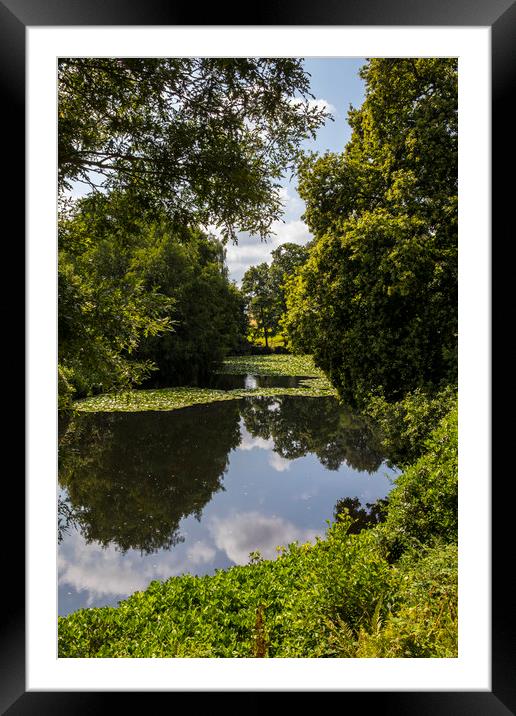 Lily Lake at Canonteign in Devon, UK Framed Mounted Print by Chris Dorney