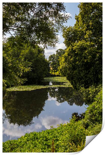 Lily Lake at Canonteign in Devon, UK Print by Chris Dorney