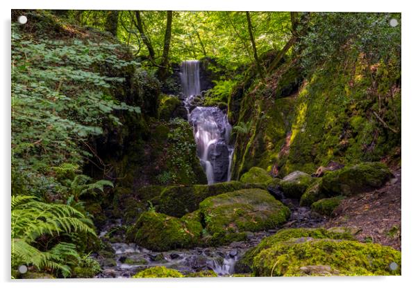 Clampitt Falls in South Devon Acrylic by Chris Dorney