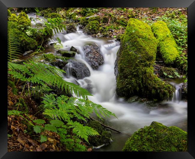 Waterfalls in Canonteign in South Devon Framed Print by Chris Dorney