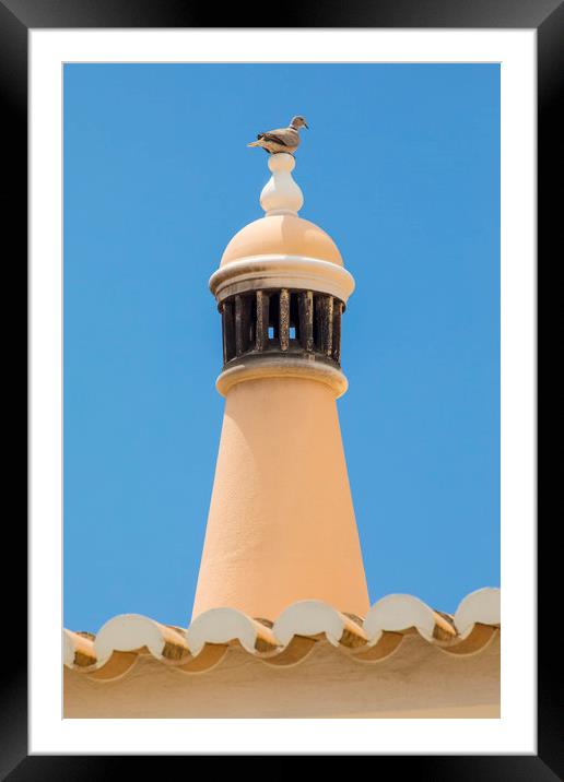 Pigeon on a Chimney Framed Mounted Print by Chris Dorney