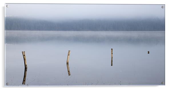 Palsko Lake, Pivka lakes, Slovenia Acrylic by Ian Middleton