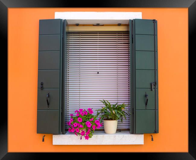 Window with Flowers in Burano Framed Print by Chris Dorney