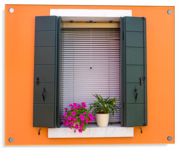Window with Flowers in Burano Acrylic by Chris Dorney