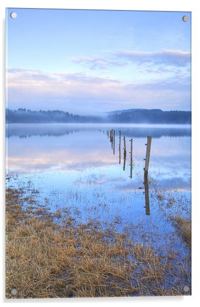 Palsko Lake, Pivka lakes, Slovenia Acrylic by Ian Middleton