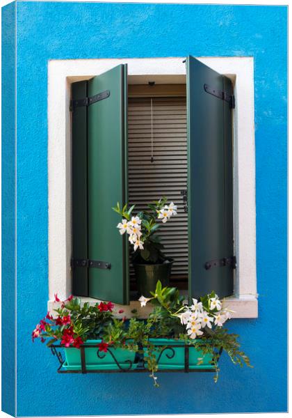Window with Flowers in Burano Canvas Print by Chris Dorney