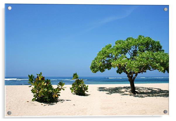 Nusa Dua Beach, Bali Acrylic by David Gardener