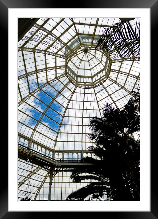 Palm House Framed Mounted Print by Colin Keown