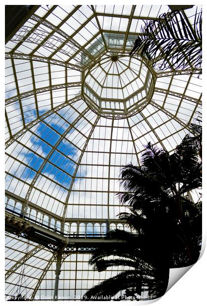 Palm House Print by Colin Keown