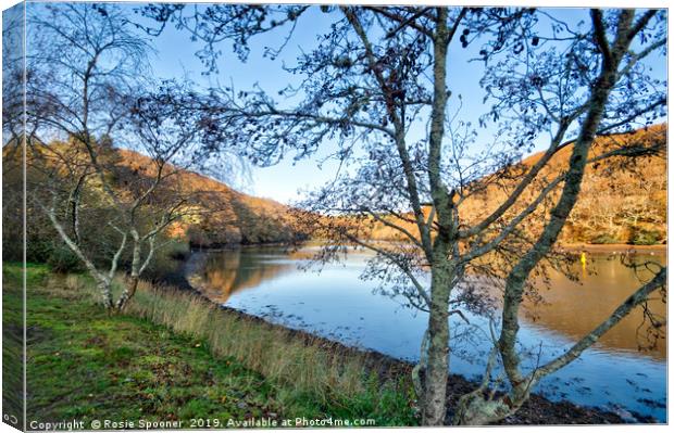 The West Looe River in autumn.  Canvas Print by Rosie Spooner
