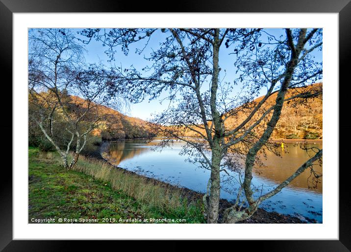 The West Looe River in autumn.  Framed Mounted Print by Rosie Spooner