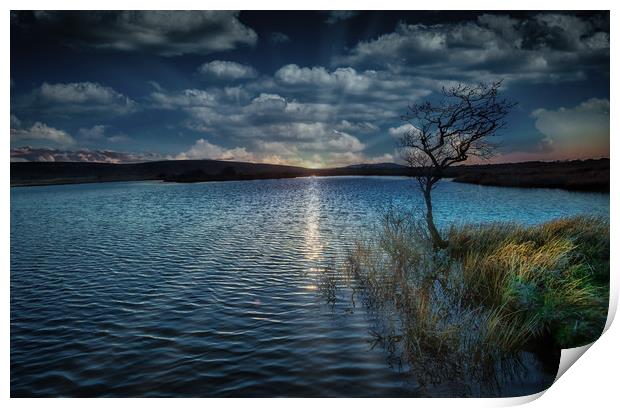 Broad Pool sunset Print by Leighton Collins