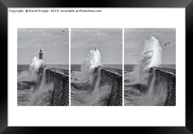 Tynemouth Pier Triptych Framed Print by David Pringle