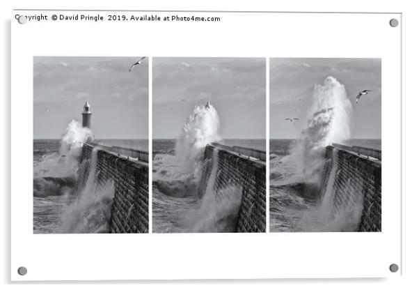 Tynemouth Pier Triptych Acrylic by David Pringle