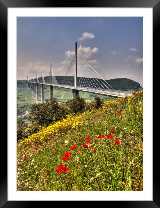 Poppies at the Viaduc de Millau Framed Mounted Print by Ian Homewood
