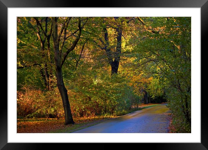 The Tiergarten in Berlin Framed Mounted Print by Chris Dorney