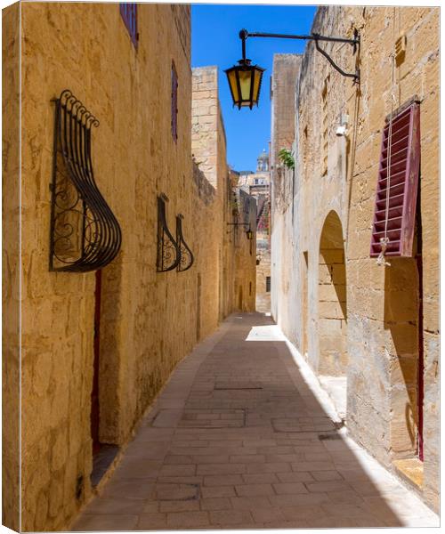 Narrow Streets in Mdina Canvas Print by Chris Dorney