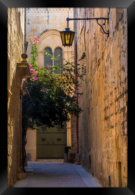 Pretty Street in Mdina  Framed Print by Chris Dorney