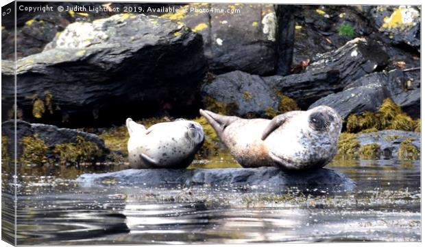 TWO VERY SMUG CONTENTED GREY SEALS Canvas Print by Judith Lightfoot