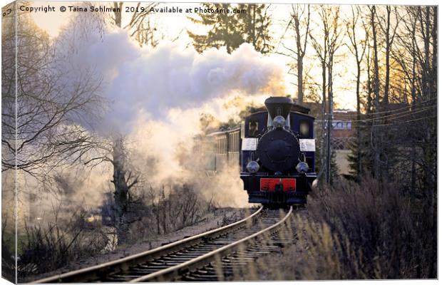 Steam Locomotive Pulling Carriages in Morning Ligh Canvas Print by Taina Sohlman