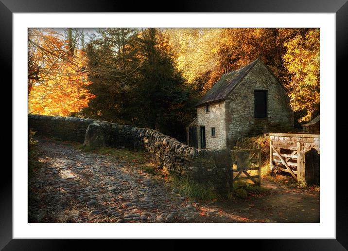 Milldale Dovedale Framed Mounted Print by Alison Chambers