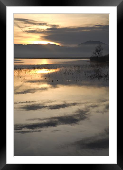 Cerknica lake at dawn, Notranjska, Slovenia Framed Mounted Print by Ian Middleton