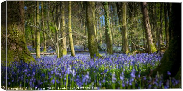 Spring Bluebells Canvas Print by Neil Parker