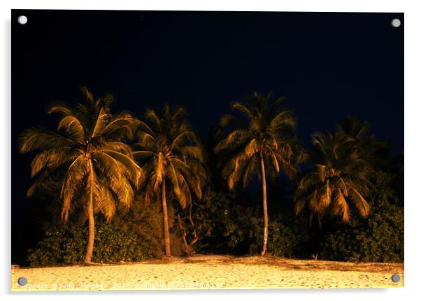 Velvet Night on the Island 1                       Acrylic by Jenny Rainbow