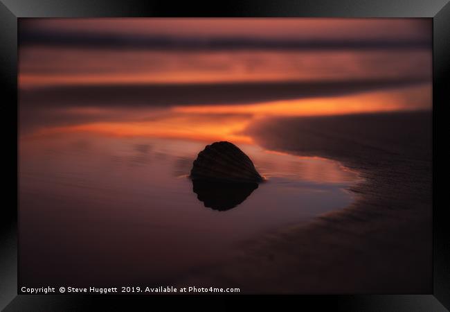 Sunset Shell at Cefn Sidan Beach Pembrey Framed Print by Steve Huggett