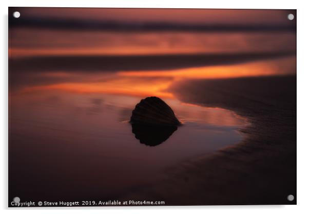 Sunset Shell at Cefn Sidan Beach Pembrey Acrylic by Steve Huggett