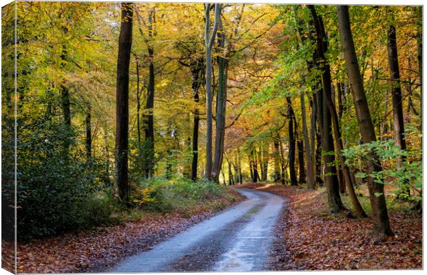 Autumn Colours Canvas Print by Tony Bates