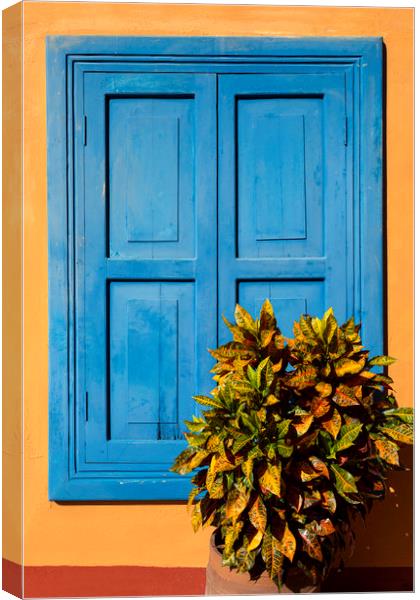 Blue Shutters Canvas Print by David Hare
