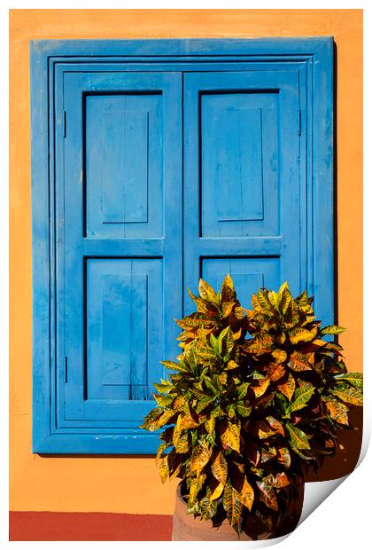 Blue Shutters Print by David Hare