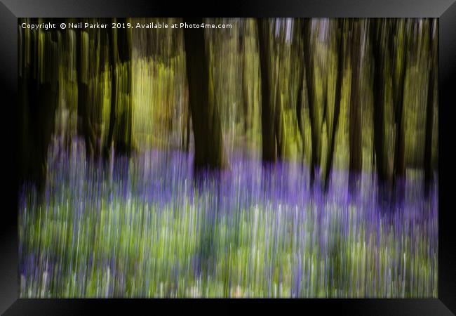 Bluebells abstract Framed Print by Neil Parker