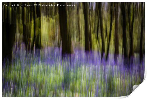 Bluebells abstract Print by Neil Parker