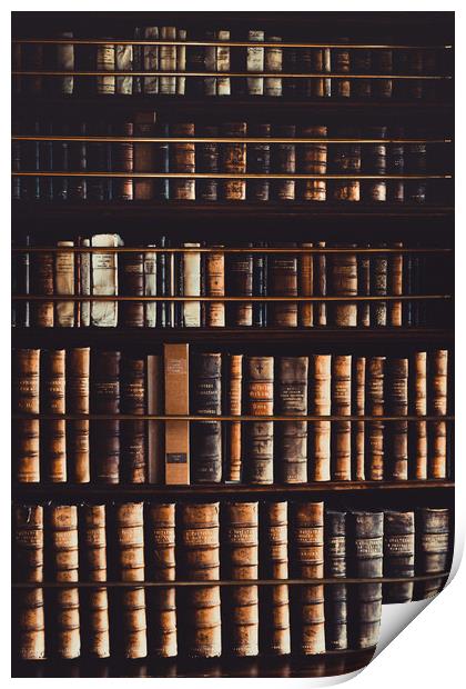 Rows of Books Print by Maggie McCall
